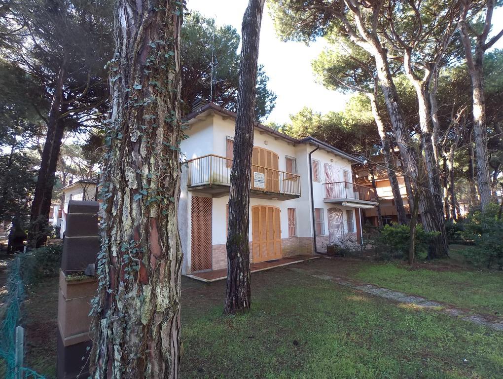 Casa de Férias Logonovo